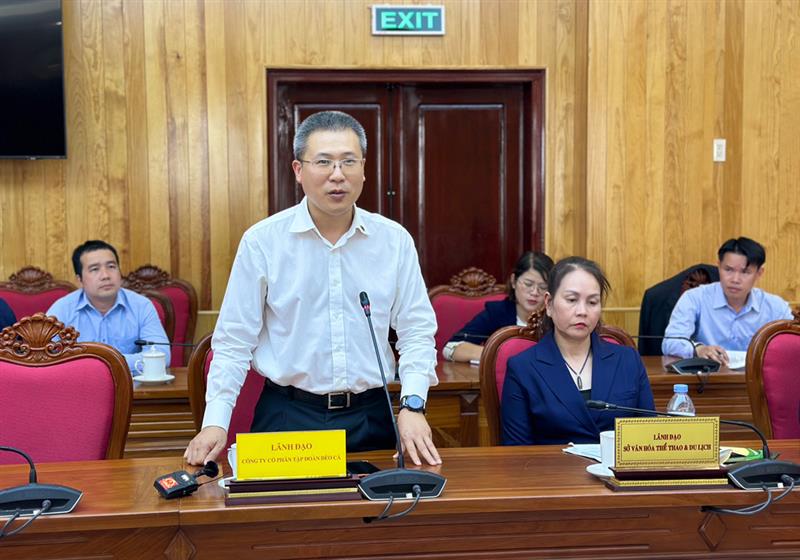 Đại diện Tập đoàn Đèo Cả thông tin về tiến độ thi công mở rộng đèo Prenn.