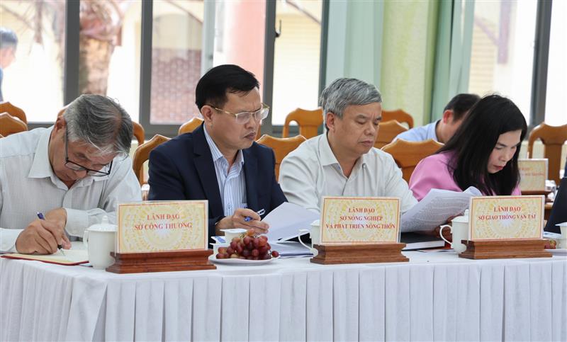 Đại diện các sở, ngành của tỉnh dự buổi làm việc