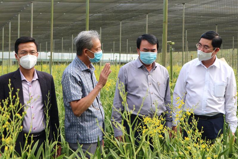 Lãnh đạo tỉnh thăm, động viên chủ trang trại và người lao động tích cực lao động sản xuất tại Trang trại hoa lan vũ nữ xuất khẩu ở Di Linh