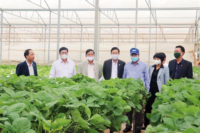 Thường trực Tỉnh ủy thường xuyên kiểm tra thực tế và làm việc trực tiếp ở cơ sở đã tạo nên nhiều hiệu quả trong triển khai, thực hiện các nhiệm vụ