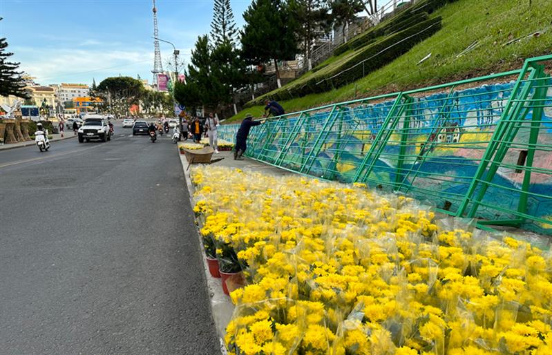 Thành phố Đà Lạt đang tập trung cao độ cho giờ khai mạc, mọi không gian đều ngập tràn hoa.
