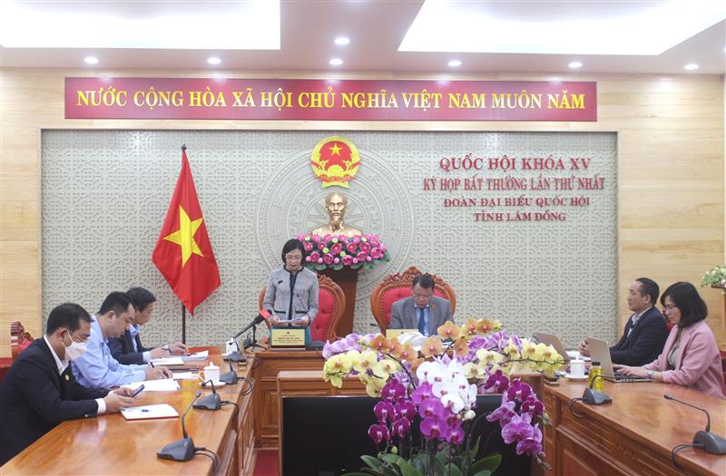 Đại biểu Trịnh Thị Tú Anh phát biểu ý kiến trong phiên thảo luận tại tổ