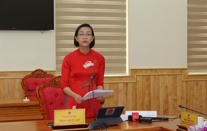 ĐBQH Trịnh Thị Tú Anh tham gia góp ý dự án Luật Điện ảnh