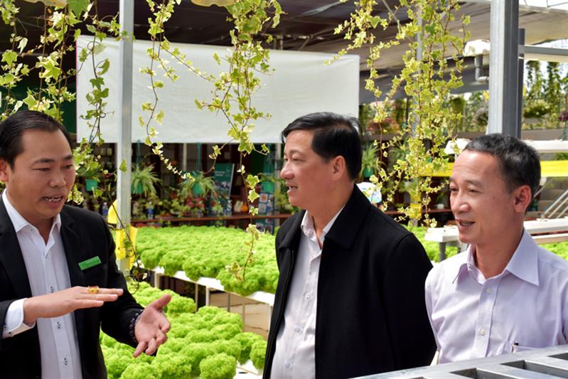 Lãnh đạo tỉnh Lâm Đồng thăm mô hình liên kết sản xuất rau công nghệ cao của Sunfood Dalat Co.op